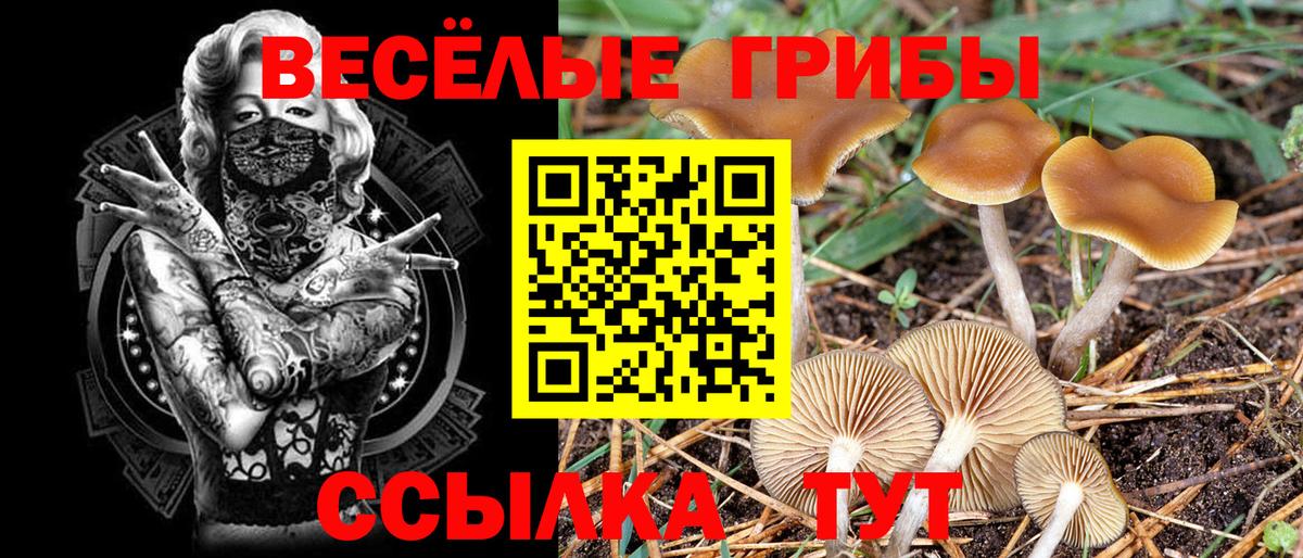 Галлюциногенные грибы GOLDEN TEACHER Янаул