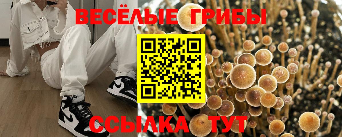 Янаул  Псилоцибиновые грибы GOLDEN TEACHER  Вход с VPN 